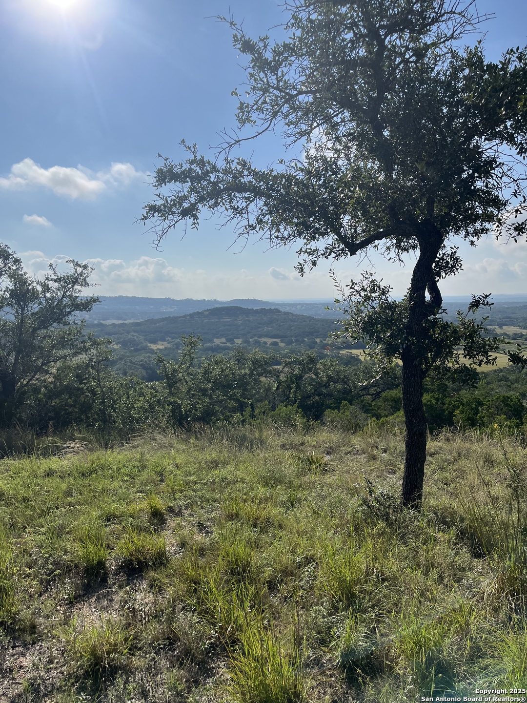 4664 Rocky Road Blanco, TX 78606 - Photo 23 of 27 a view of a yard with a tree
