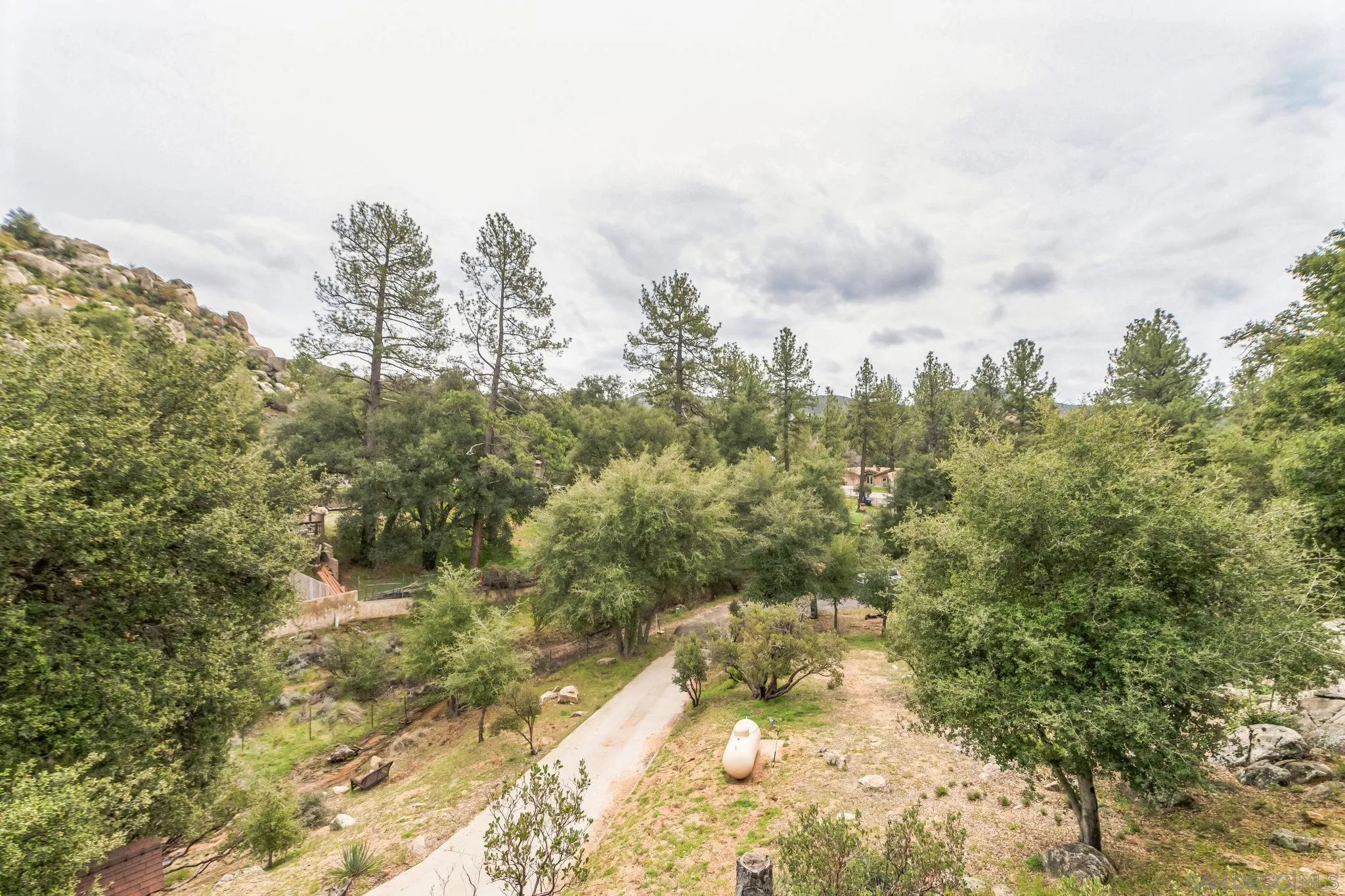 29026 Deer Creek Trail Pine Valley, CA 91962 - Photo 35 of 37 a view of a yard with trees in the background