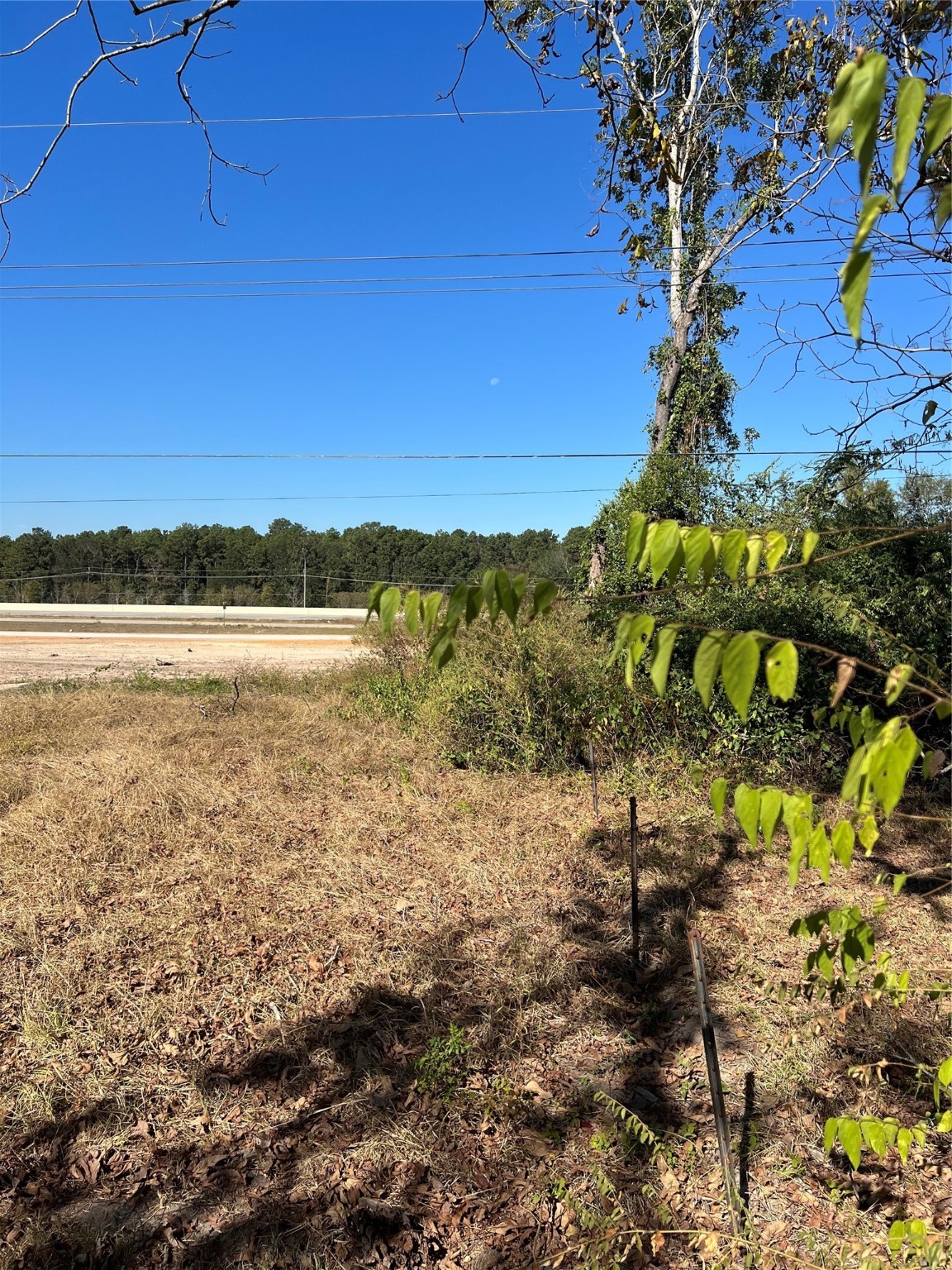 14342 Old Highway Splendora, TX 77372 - Photo 3 of 6 a view of lake with mountain