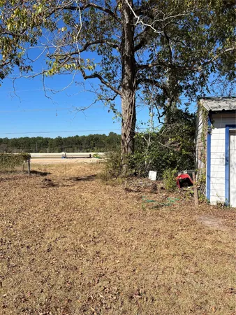 a view of a tree in the middle of a yard