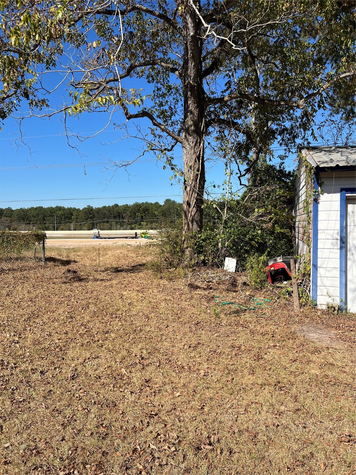 14342 Old Highway Splendora, TX 77372 - Photo 4 of 6 a view of a tree in the middle of a yard