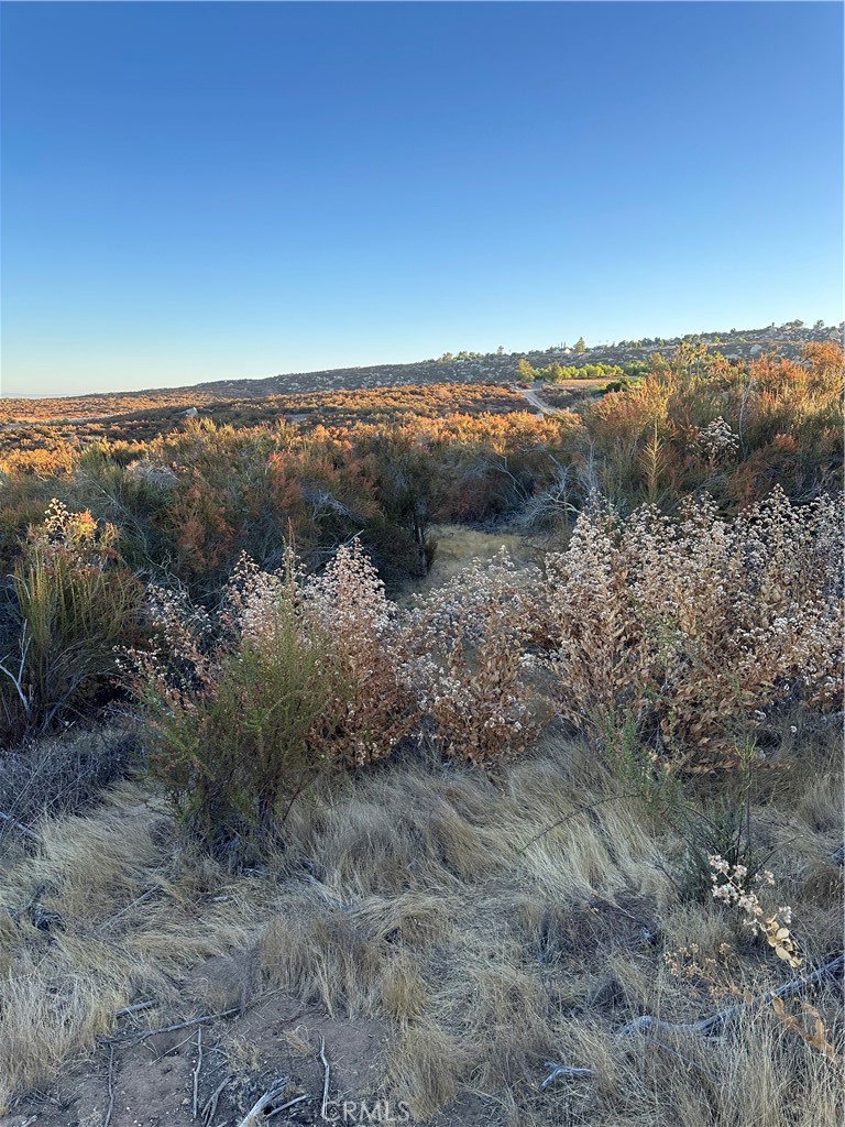 52 Madera Street Hemet, CA 92544 - Photo 12 of 15 View of parcel.