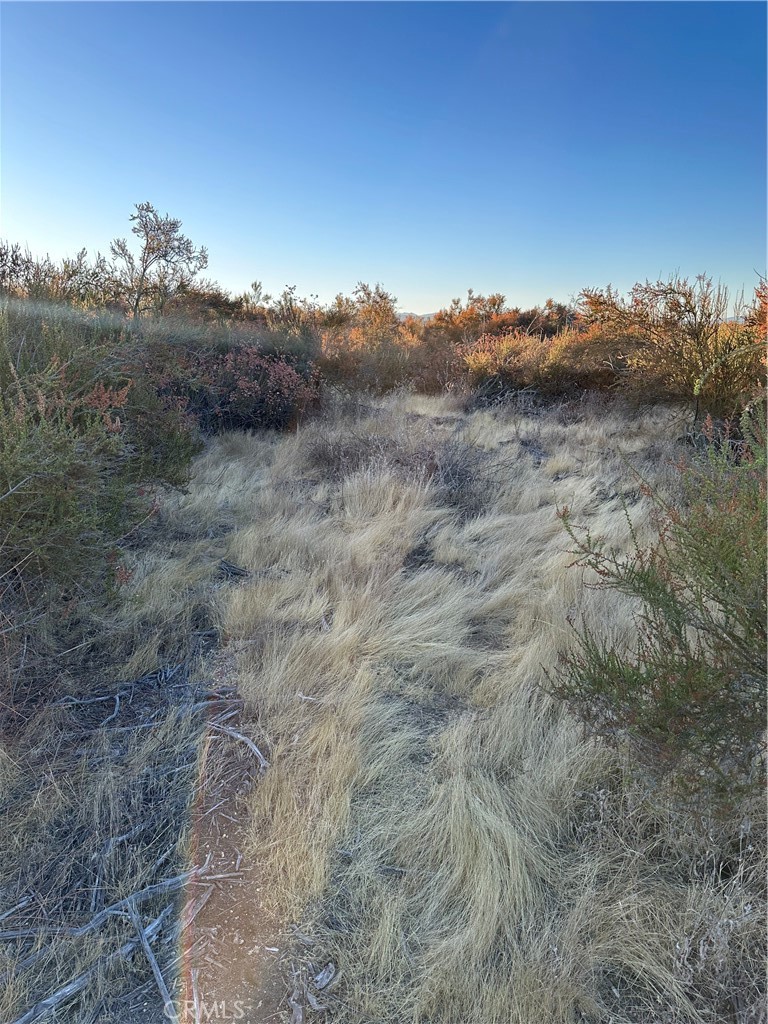 52 Madera Street Hemet, CA 92544 - Photo 14 of 15 View of parcel.