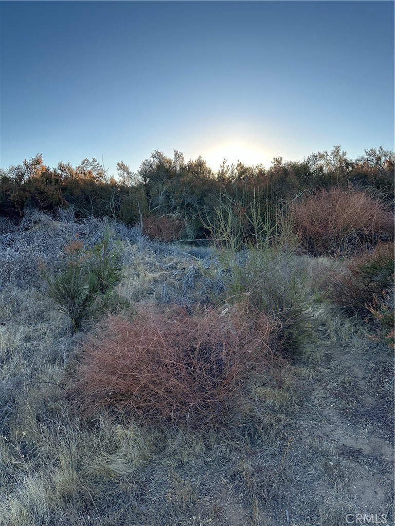 52 Madera Street Hemet, CA 92544 - Photo 15 of 15 View of parcel.