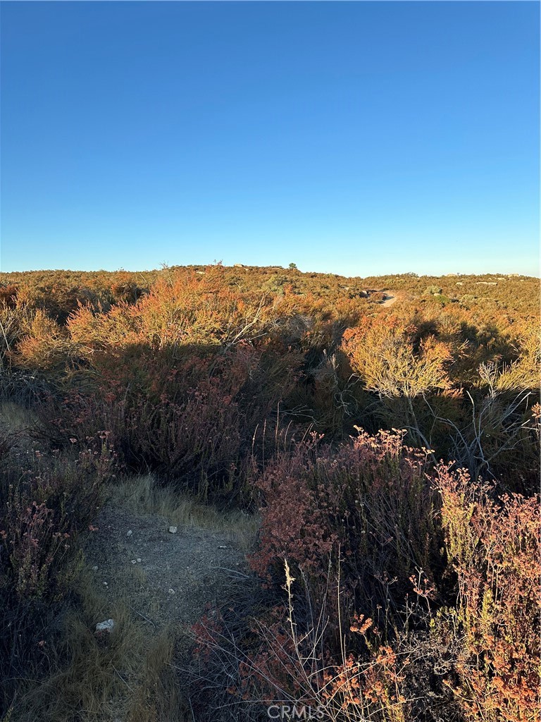 52 Madera Street Hemet, CA 92544 - Photo 7 of 15 View of parcel.