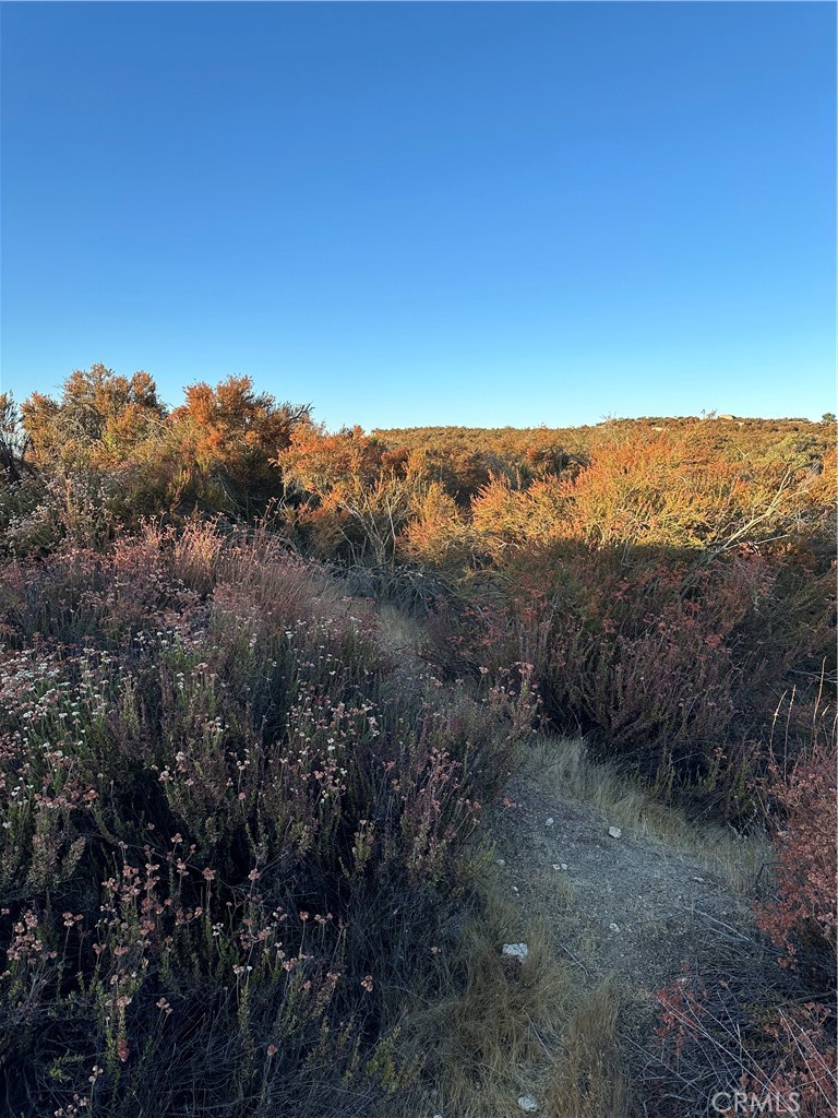 52 Madera Street Hemet, CA 92544 - Photo 8 of 15 View of parcel.