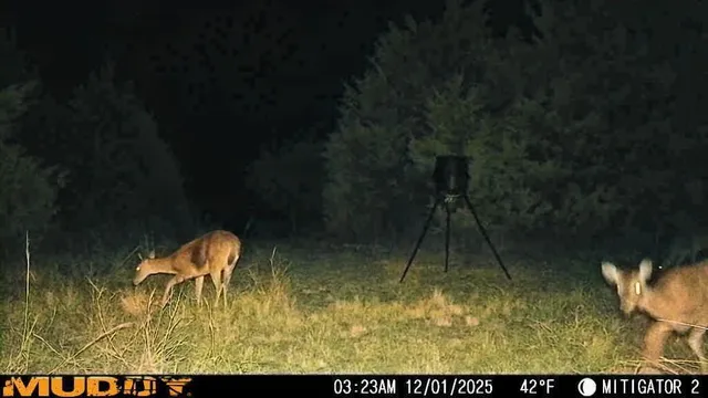 a view of swimming pool