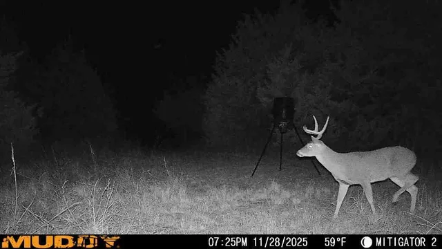 a view of a porch with furniture and a yard