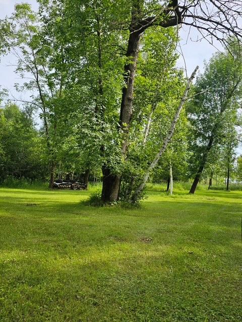 18286 Johnson Road North Brainerd, MN 56401 - Photo 70 of 113