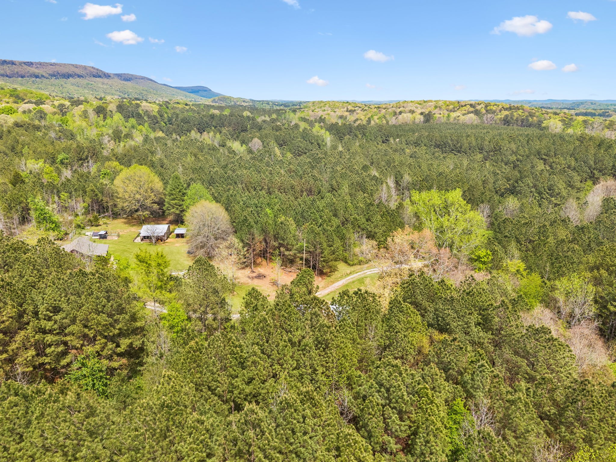 587 Cooper Road Summerville, GA 30747 - Photo 81 of 93