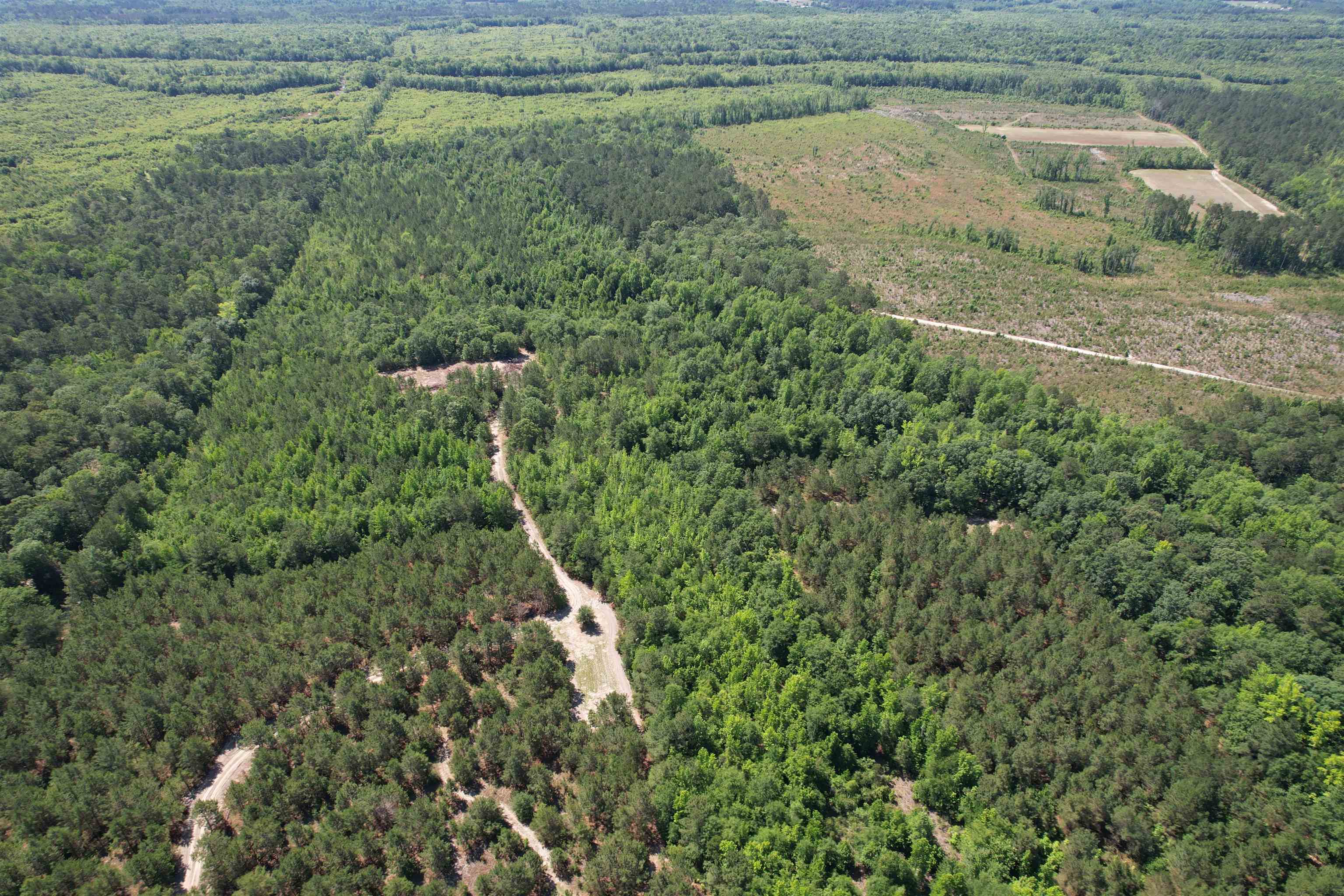 5432 June Burn Road Manning, SC 29102 - Photo 14 of 32