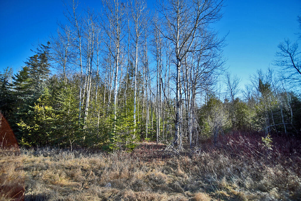 Lot 2-3 Us Rt 2a Road Linneus, ME 04730 - Photo 16 of 33 mixed-woods-me-land