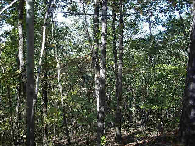 332 Kings Crest Lane, Unit 35 Pelham, AL 35124 - Photo 3 of 3