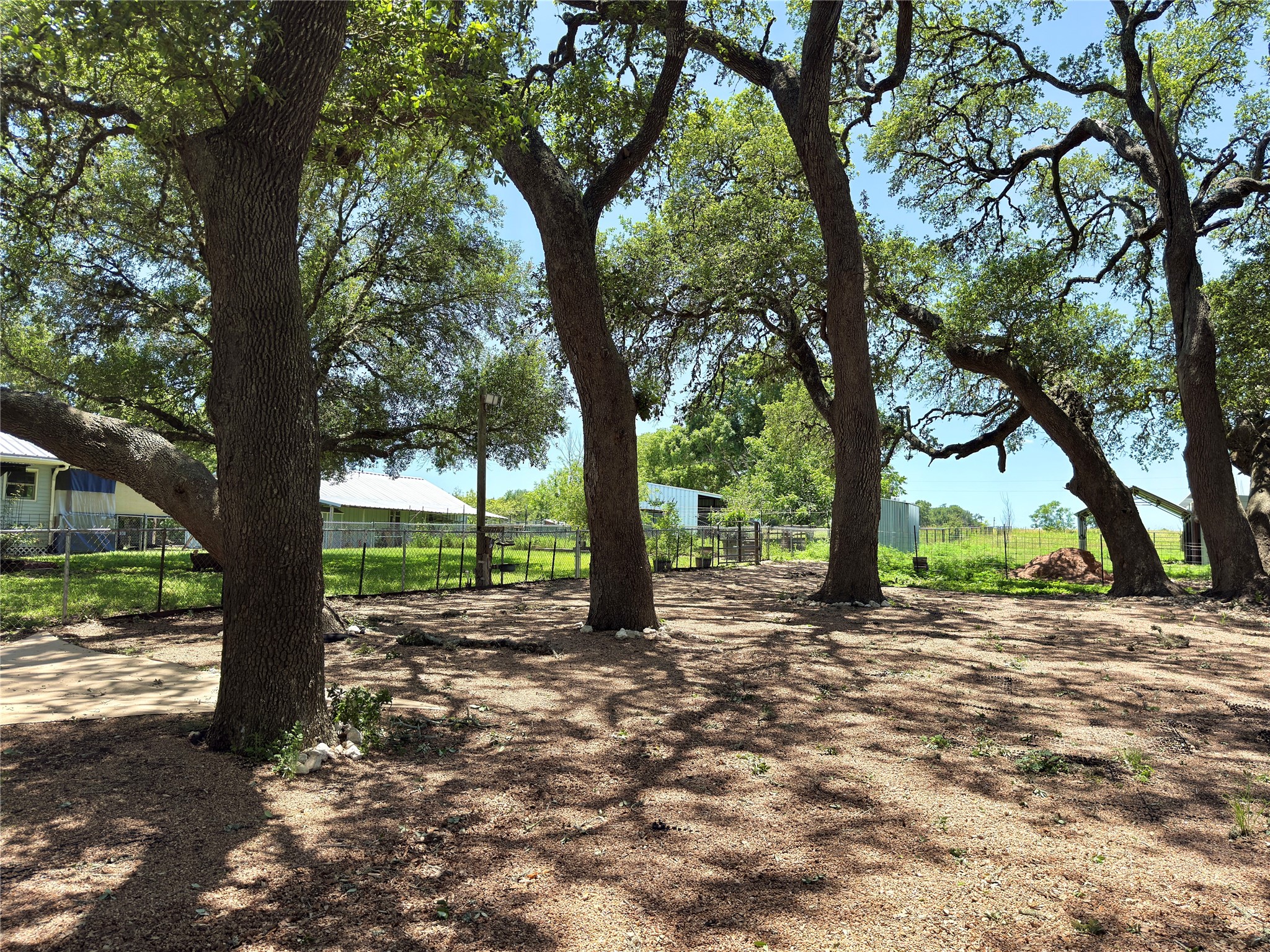 5030 Frenzel Road Round Top, TX 78954 - Photo 9 of 13