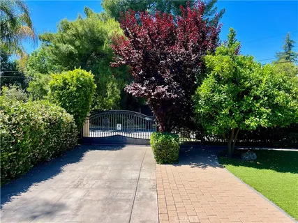 a view of a garden with potted plants and large trees