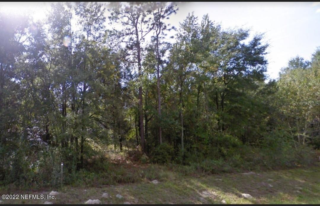 0 349th Road North, Unit COUNTY O'Brien, FL 32071 - Photo 10 of 12 349.6