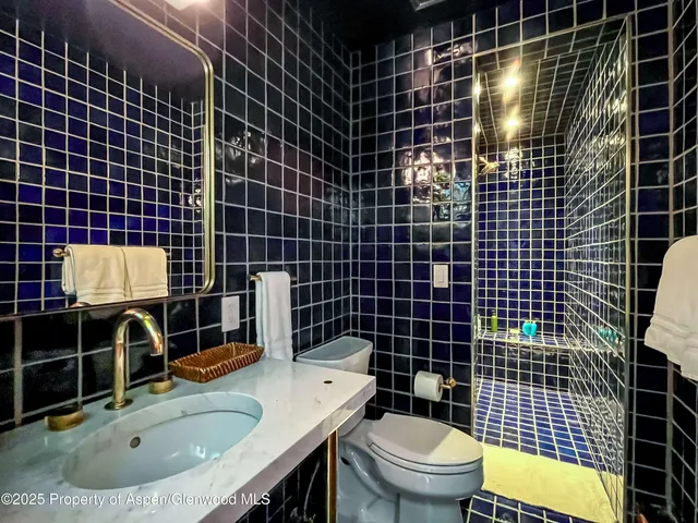 $40,000 | 189 Aspen Oak Drive, Aspen, CO 81611