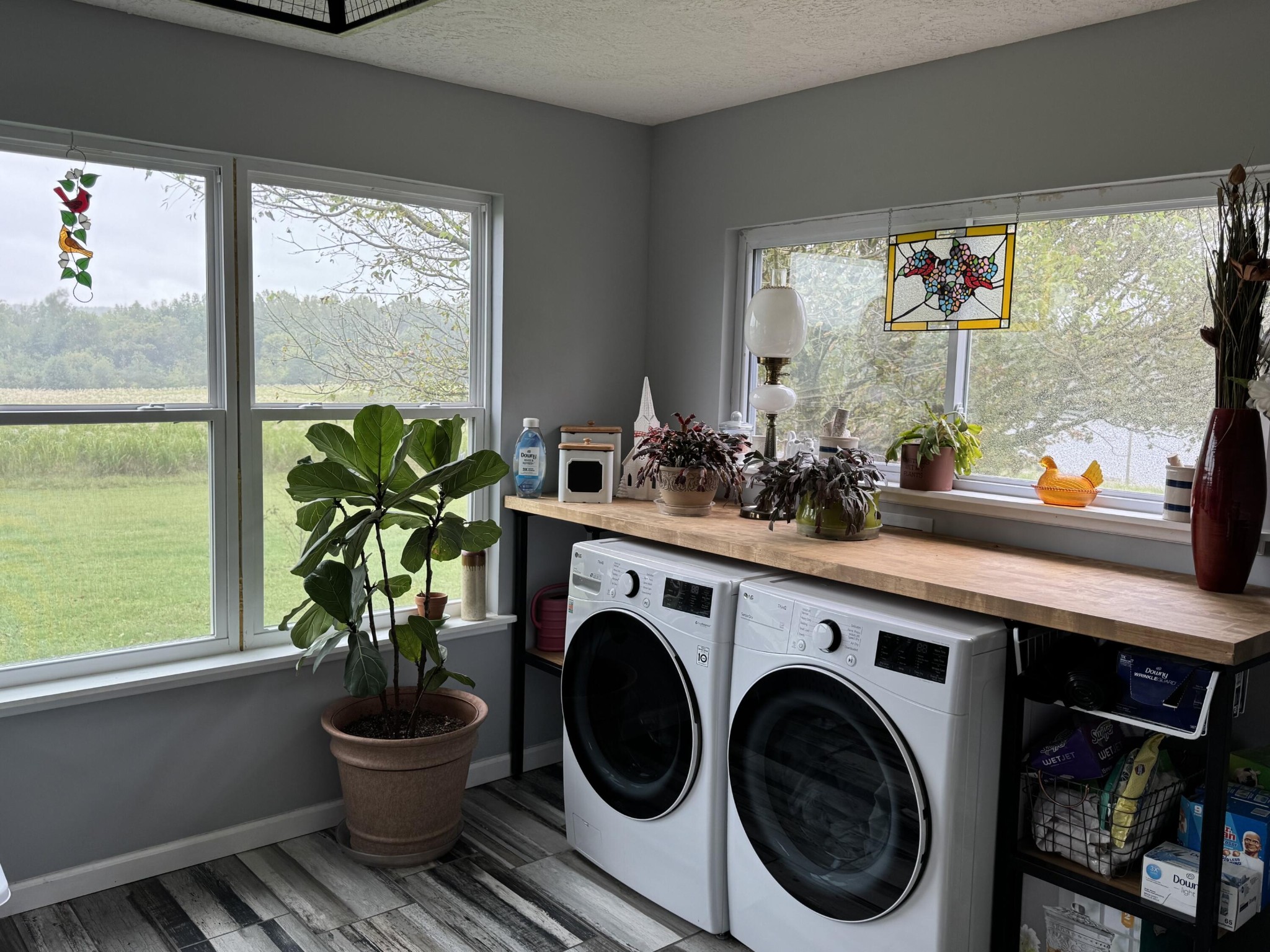 463 Porter Lake Road Spring City, TN 37381 - Photo 8 of 20 Gallery Image 8