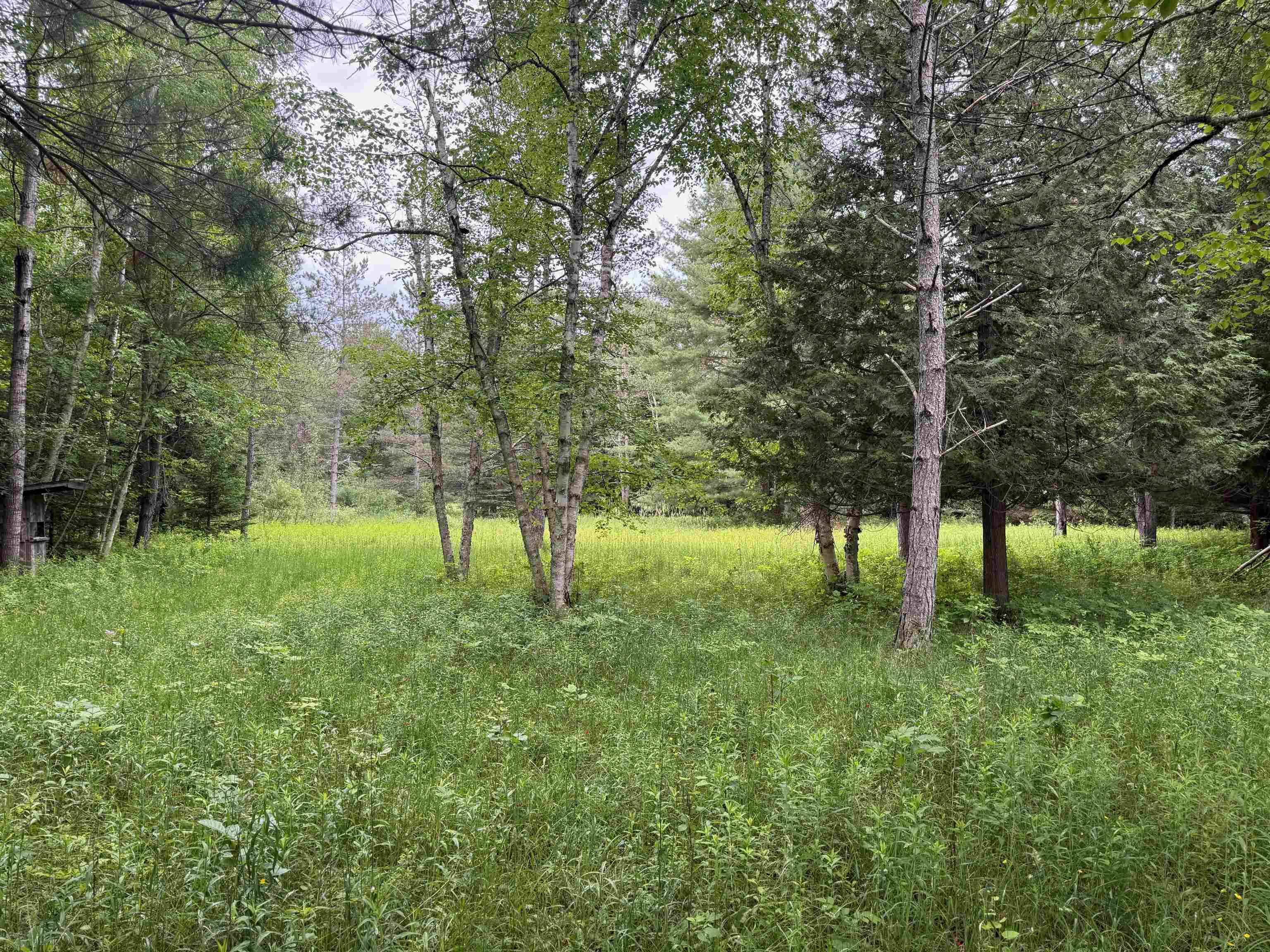 0 South Good Harbor Trail Cedar, MI 49621 - Photo 3 of 13