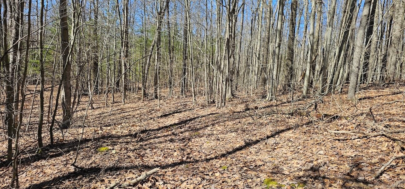 South Hill Road Van Etten, NY 14889 - Photo 27 of 34 Gallery Image 27