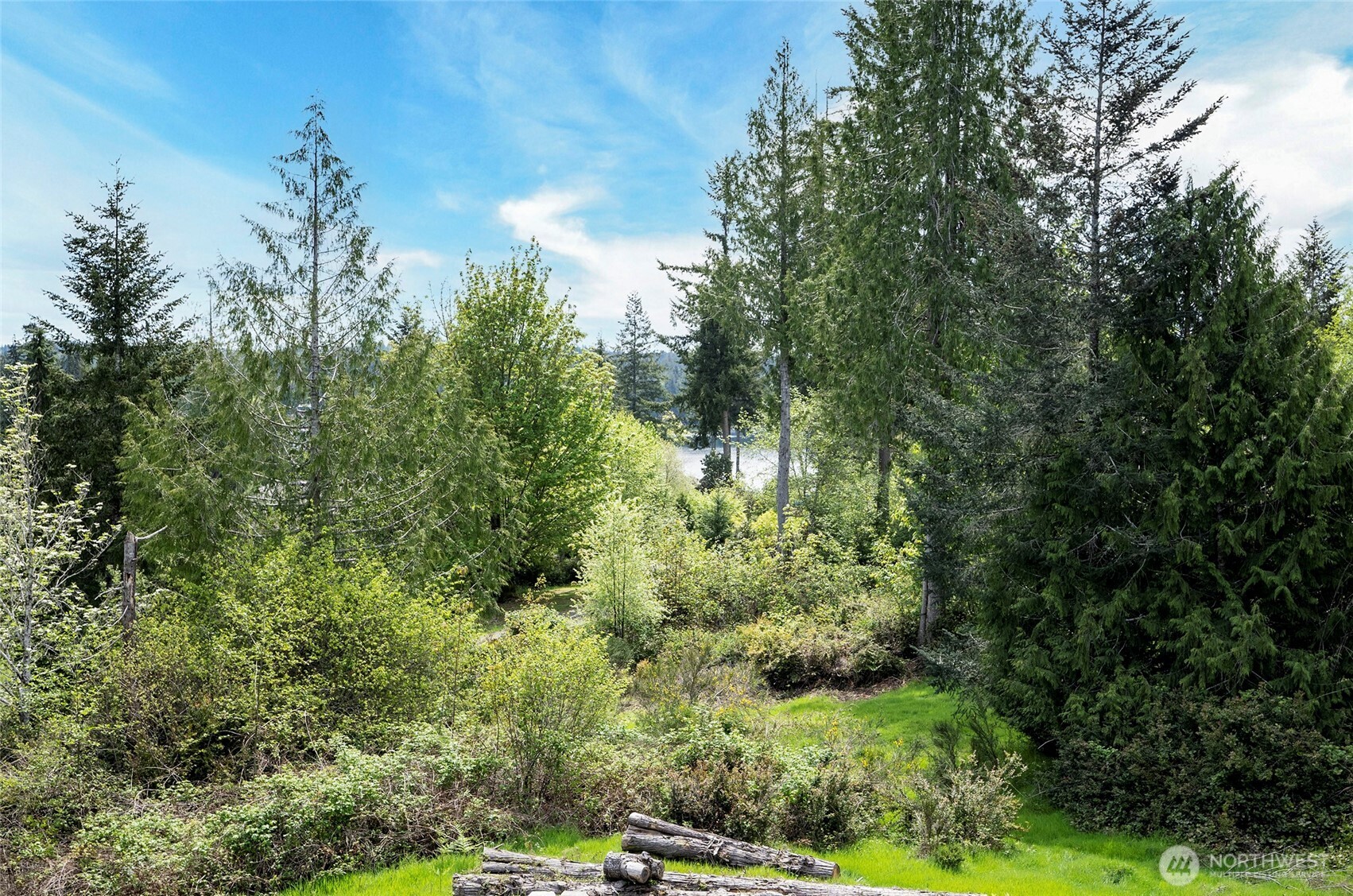 770 East April Avenue Grapeview, WA 98546 - Photo 11 of 16 a view of a garden with a building