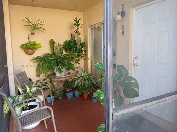 a potted plant sitting in front of a window