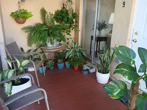a potted plant sitting in front of a house