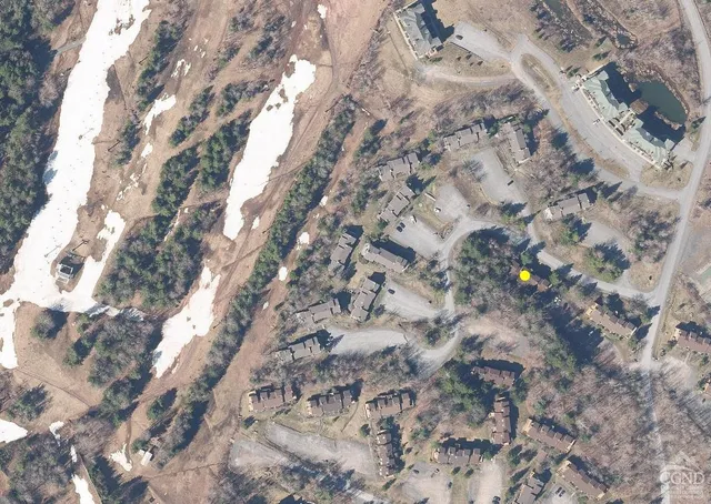 a close up of a tree