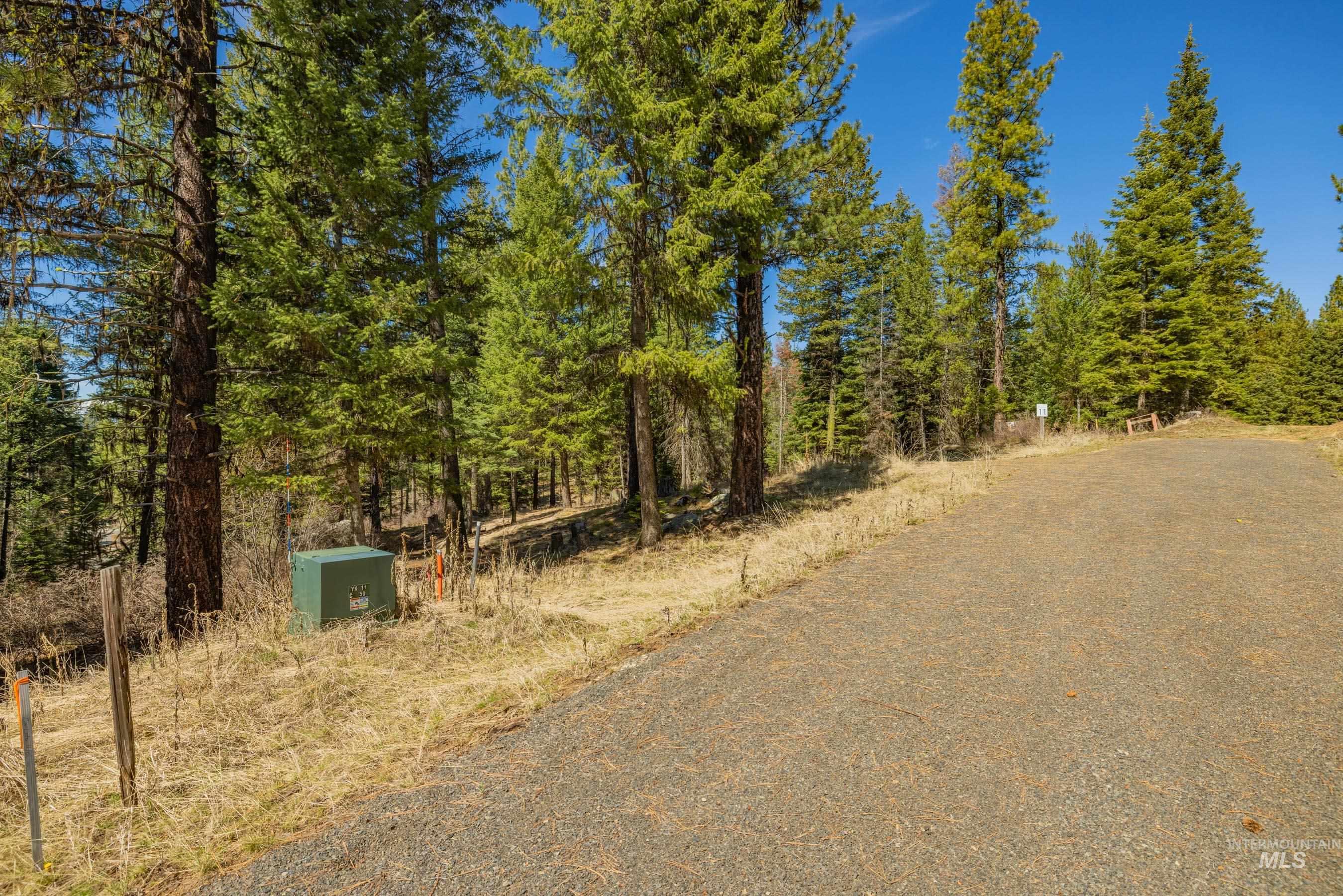 8 York Street McCall, ID 83638 - Photo 1 of 40