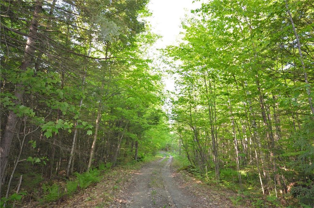 7 Mcnulty Road Rome, ME 04963 - Photo 17 of 21 Land/lot