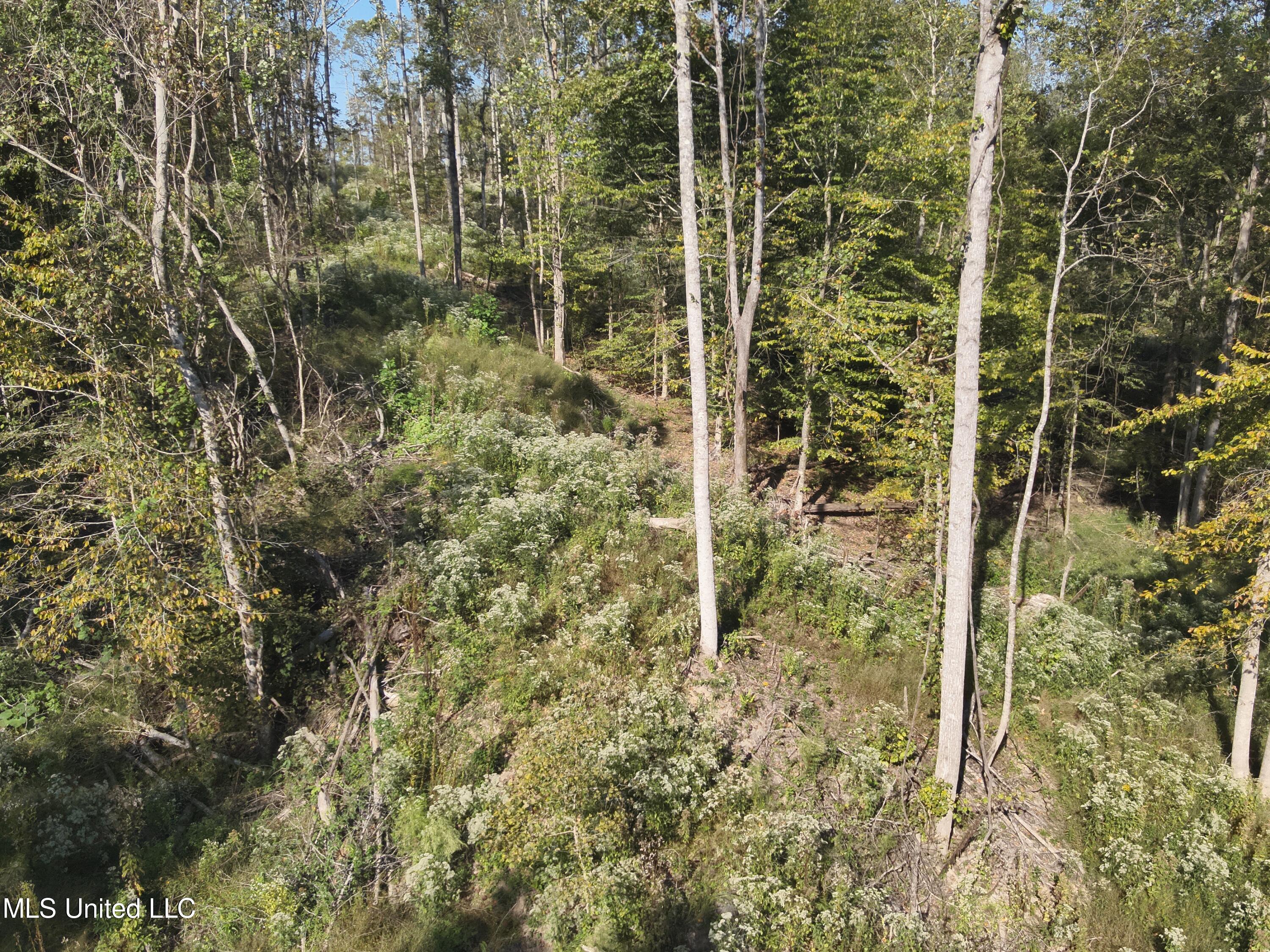 Perry Creek Rd Road Yazoo City, MS 39194 - Photo 6 of 14 DJI_20241007101128_0017_V