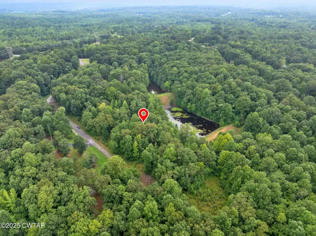 a view of a green field with lots of bushes