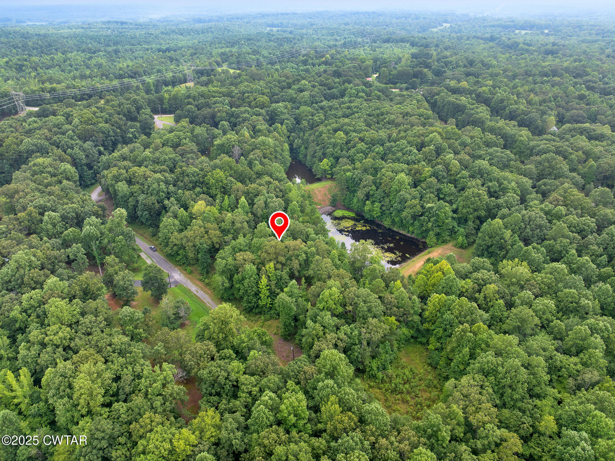 213 Jason Hollow Road Cedar Grove, TN 38321 - Photo 13 of 18 a view of a green field with lots of bushes