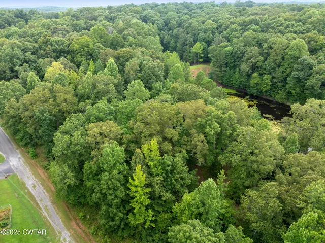 a view of a forest with a street