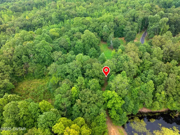 a view of a green field with lots of bushes