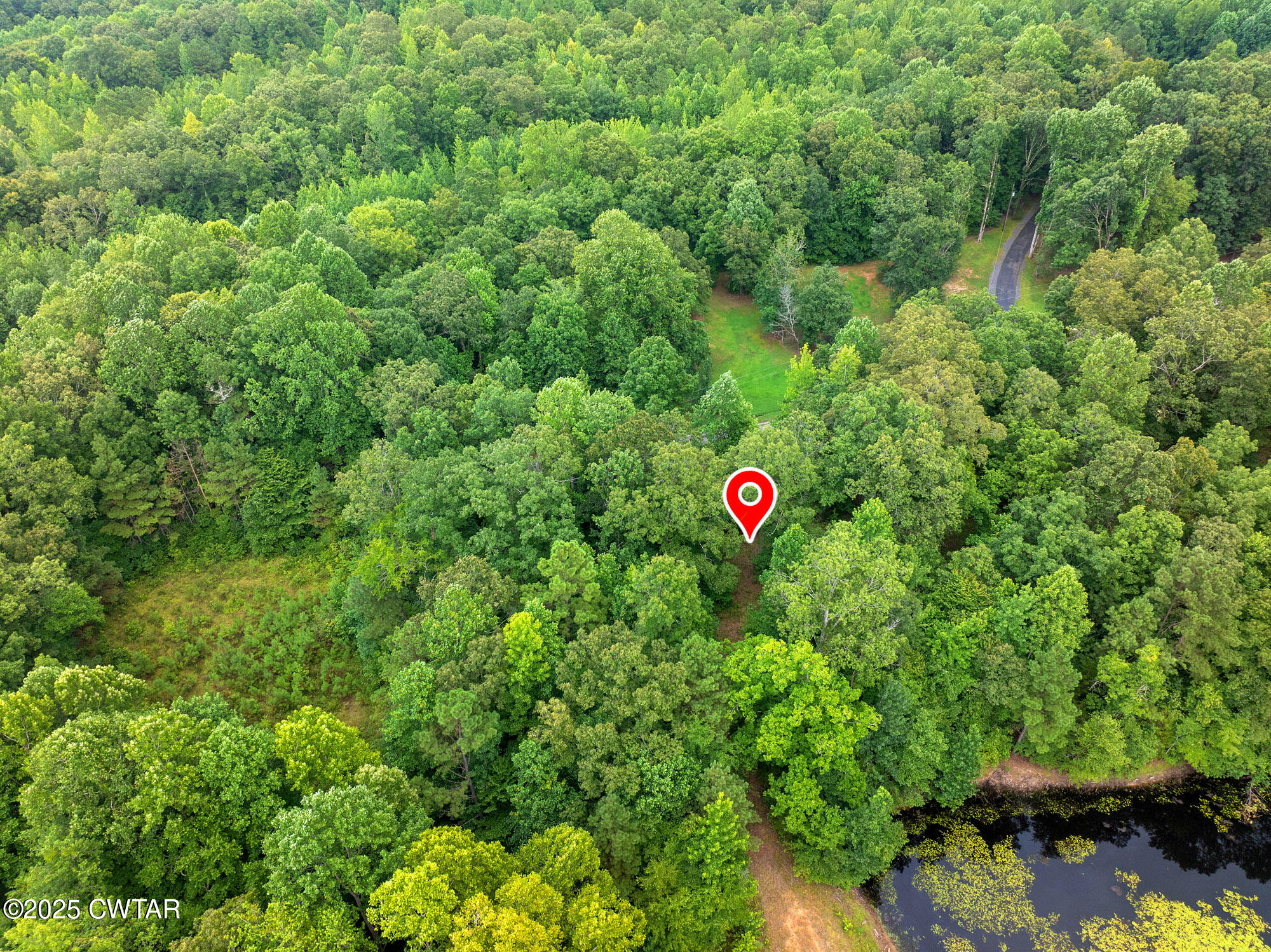 213 Jason Hollow Road Cedar Grove, TN 38321 - Photo 3 of 18 a view of a green field with lots of bushes