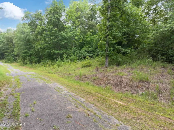 a view of a yard with a tree