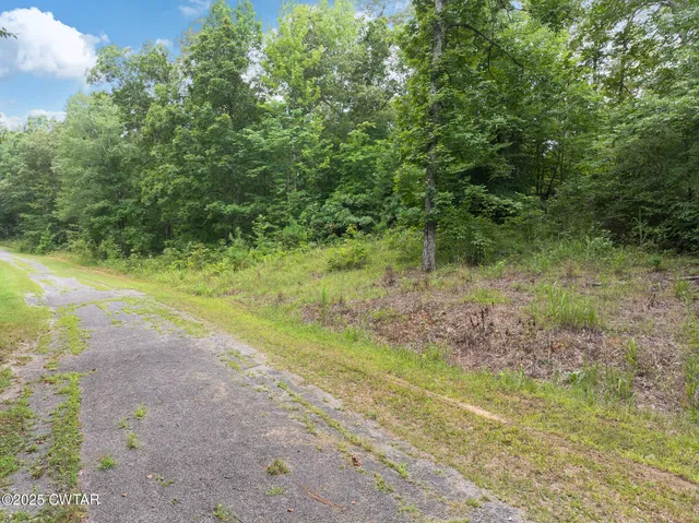 a view of a yard with a tree
