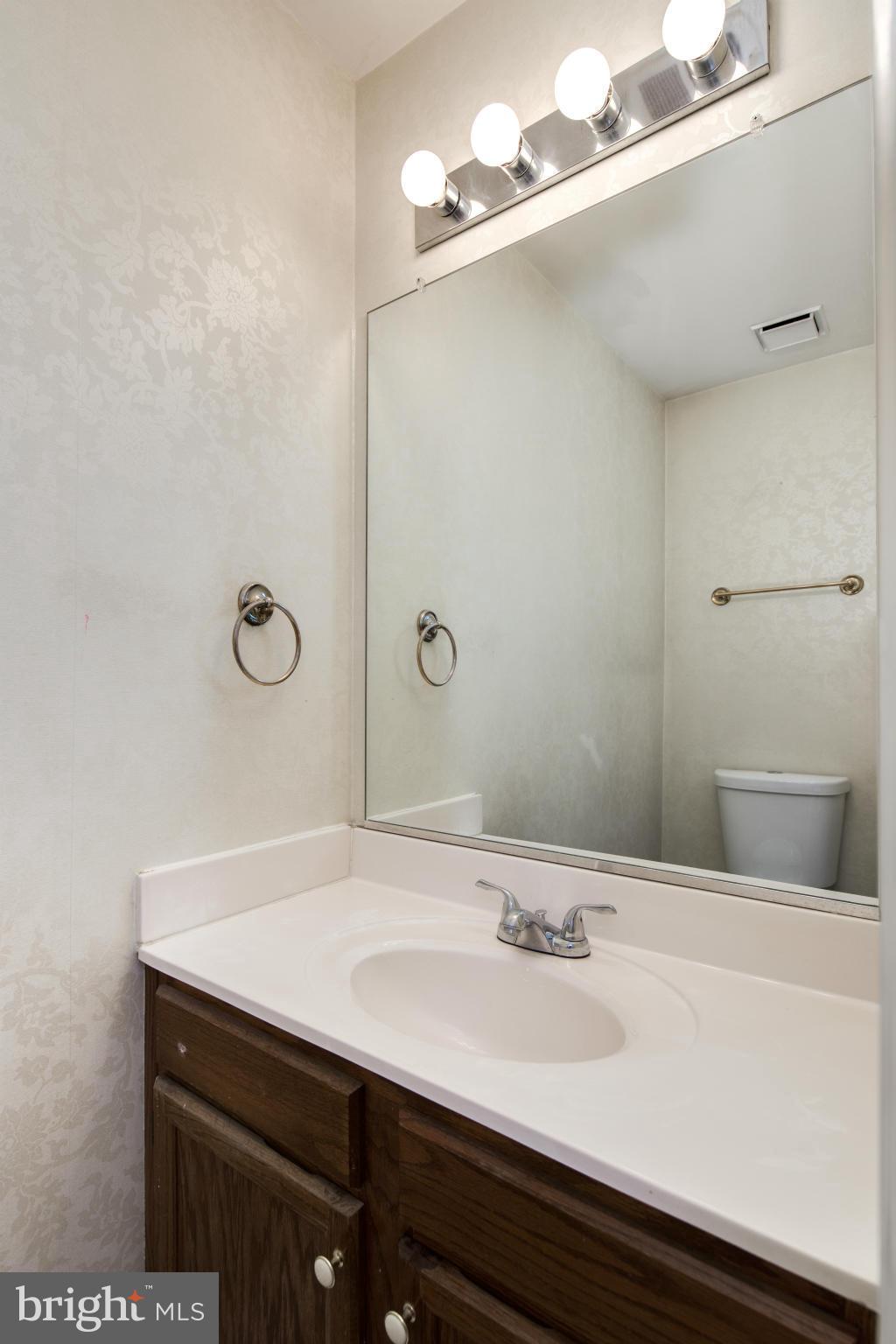 46871 Rabbitrun Terrace Sterling, VA 20164 - Photo 12 of 30 a bathroom with a sink and a mirror