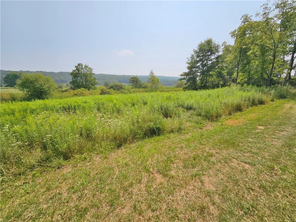 2623 Guyanoga Road Jerusalem, NY 14527 - Photo 46 of 50