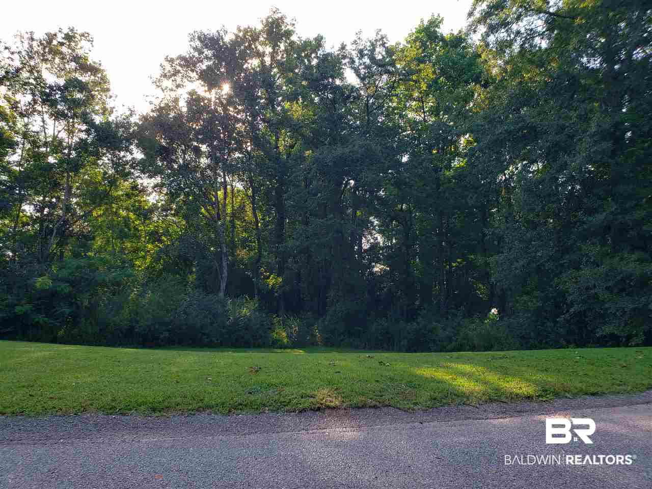 0 South Dawes Lake Road Mobile, AL 36695 - Photo 3 of 4