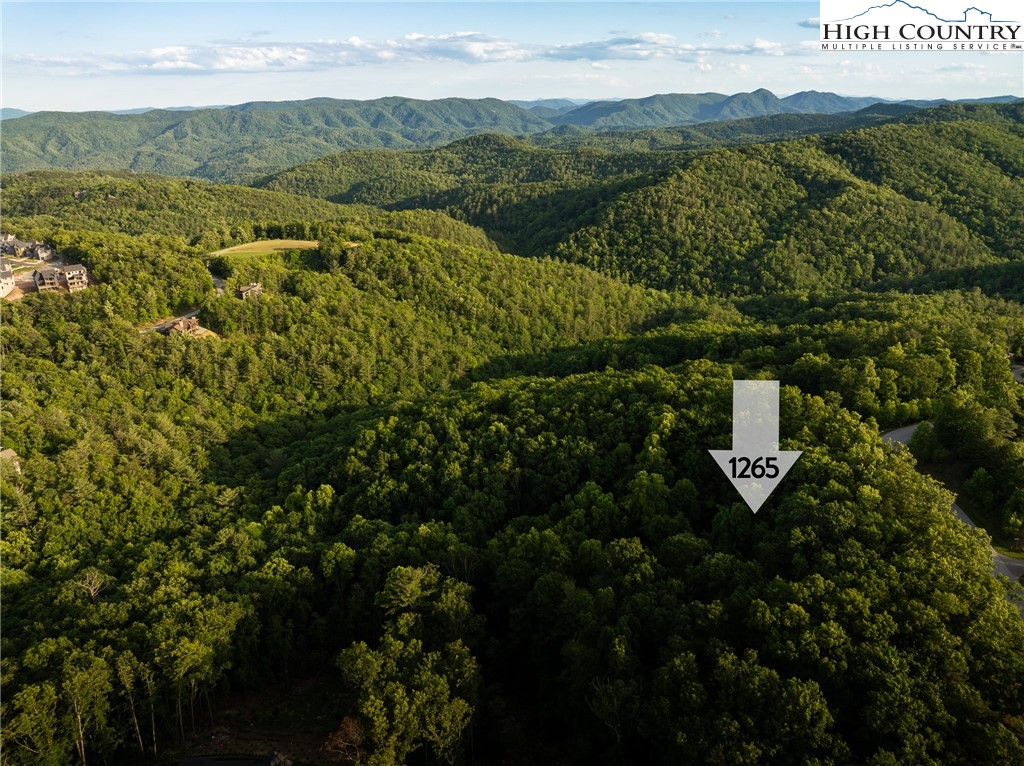 1265 Reynolds Parkway Boone, NC 28607 - Photo 5 of 50