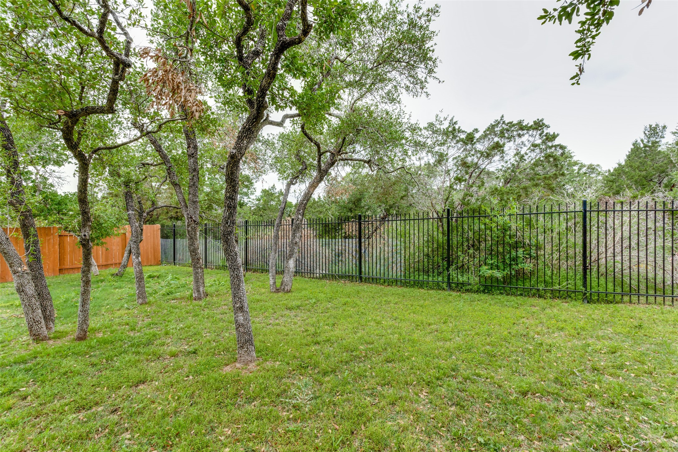 118 Rpd Spgs Cove Georgetown, TX 78628 - Photo 1 of 1 almost 1/4 acre lot with trees