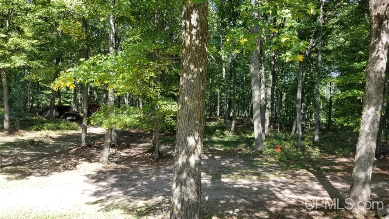 217 Reiman Road Iron River, MI 49935 - Photo 54 of 76