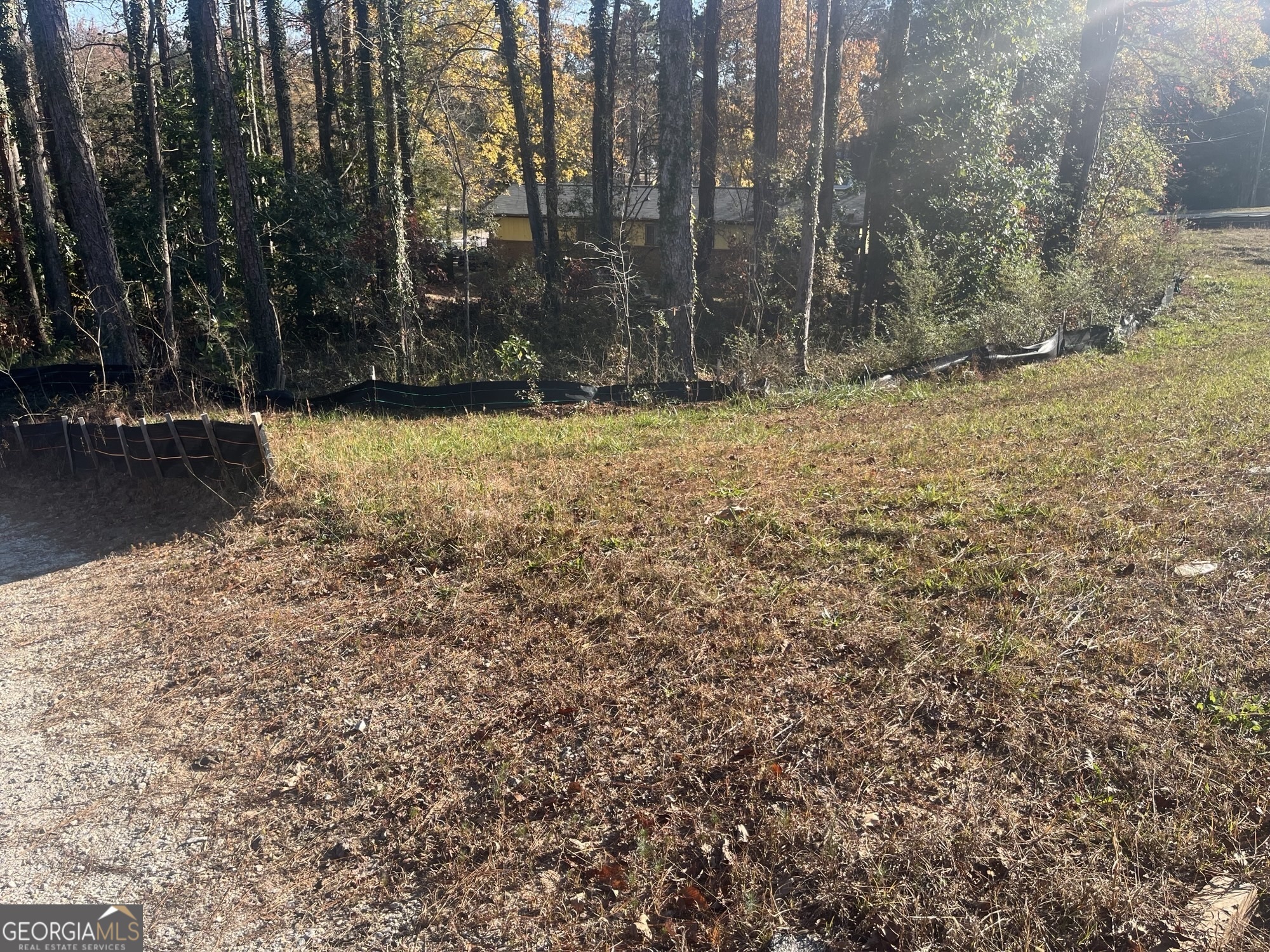 2499 Chestnut Log Loop Lithia Springs, GA 30122 - Photo 3 of 6 a view of swimming pool with trees