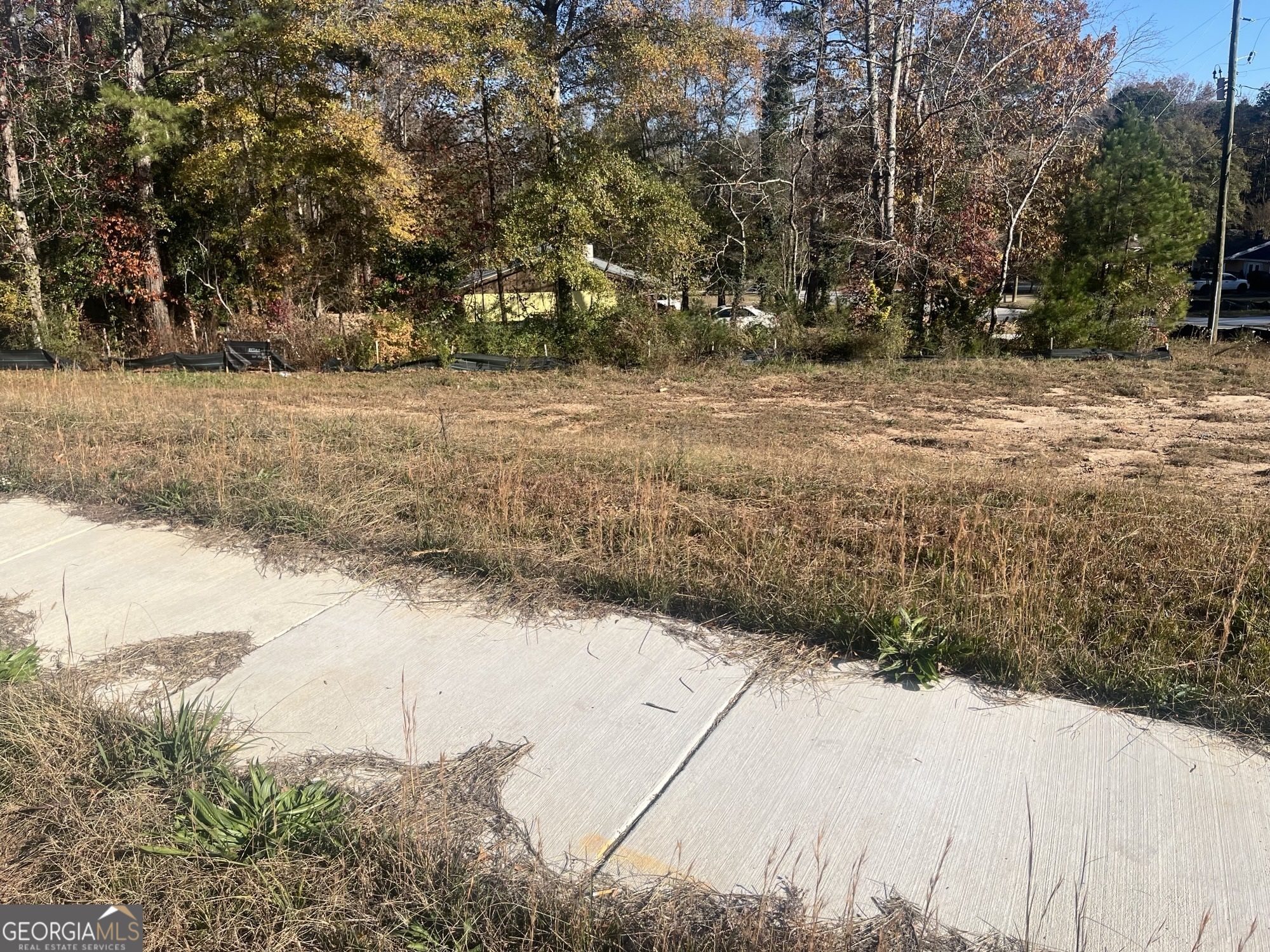 2499 Chestnut Log Loop Lithia Springs, GA 30122 - Photo 5 of 6 a view of a yard with trees