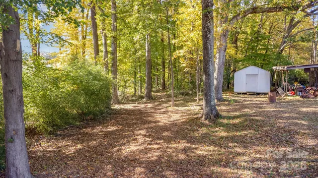 a view of a backyard
