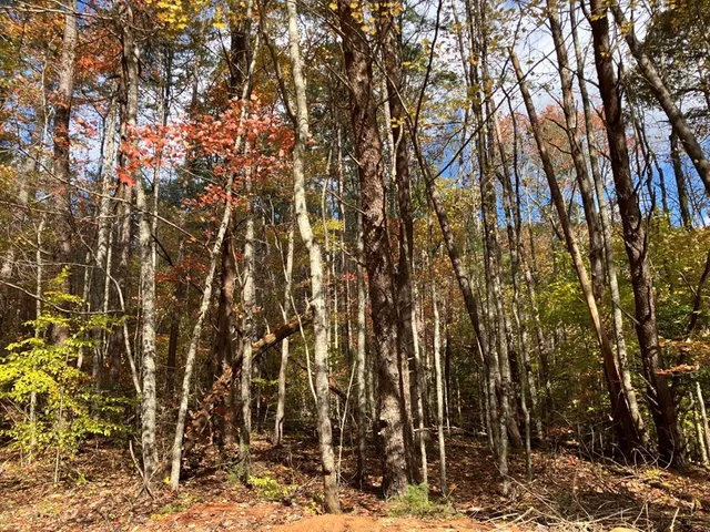a view of outdoor space