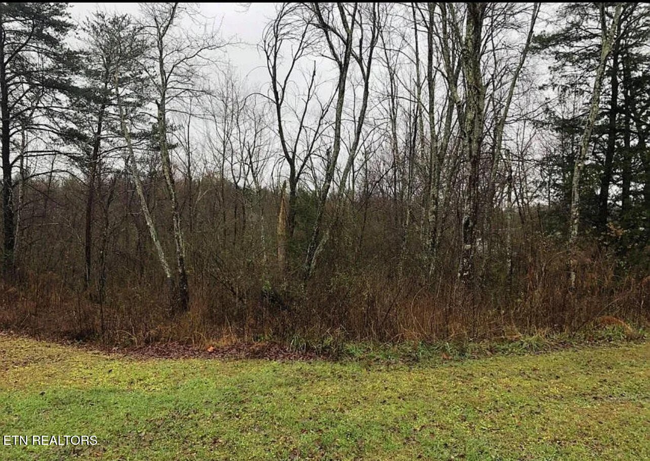 0 Fairgrounds Road Jamestown, TN 38556 - Photo 2 of 8 Gallery Image 2