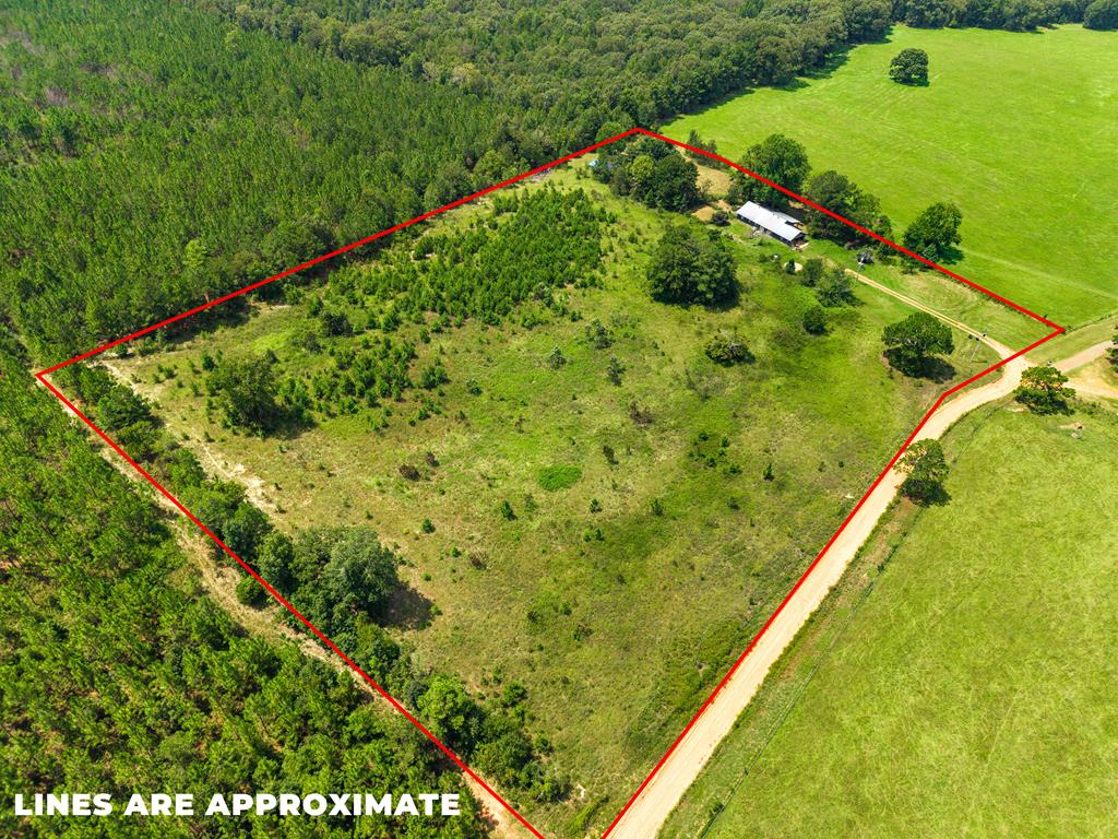 349 New Hope Road Mauk, GA 31058 - Photo 1 of 48 Main View